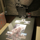 Image for article titled Get Drunk with Kaiju at This New Japanese Bar